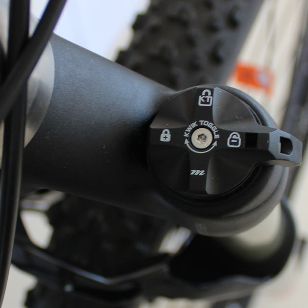High-end titanium moutain MTB bike