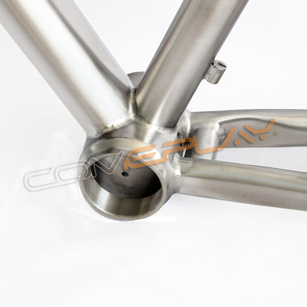 T47 titanium gravel frame
