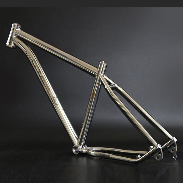 Titanium MTB bike frame