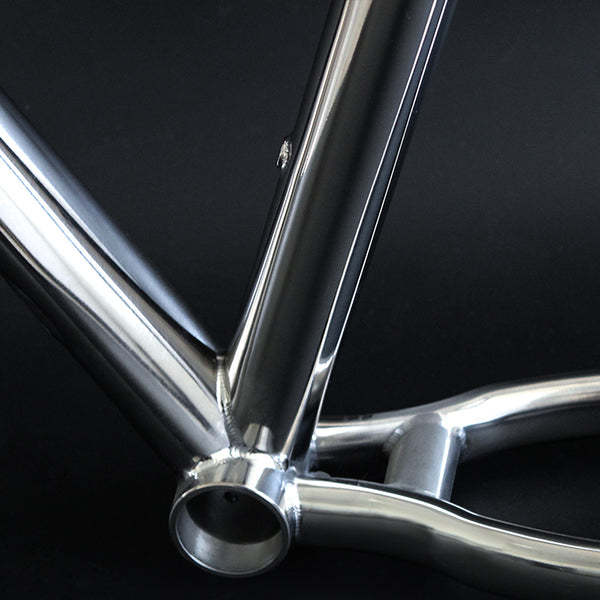 Titanium MTB bike frame