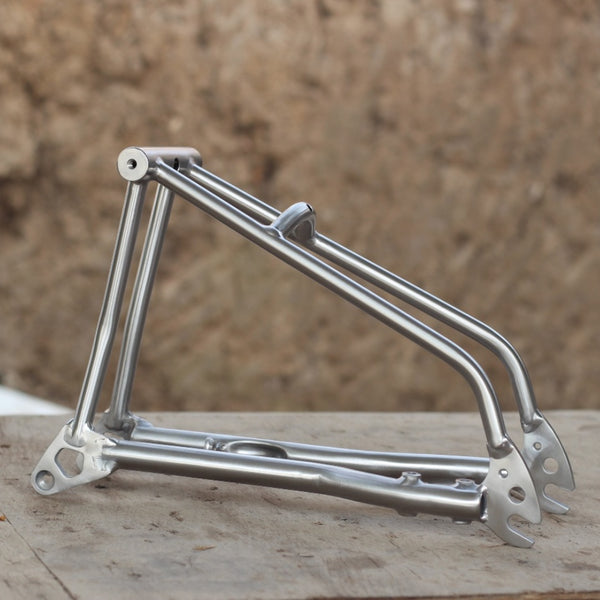Titanium Brompton gravel P Line 18inch flat disc mount fat tire