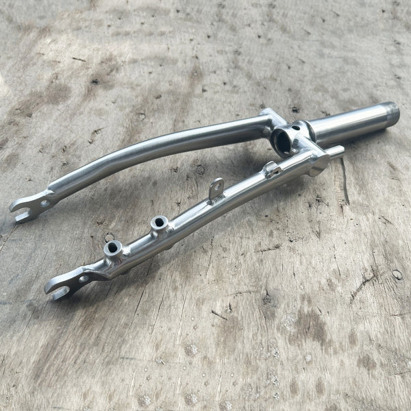 titanium 18inch brompton gravel fat tire P line fork flat disc