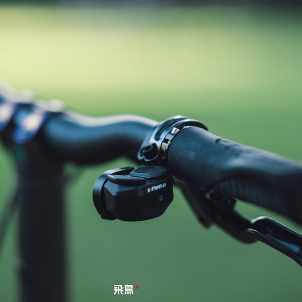HEXATI T20 ELite Custom Paint – Titanium Gravel Folding Bike--with L-TWOO ER9 wireless groupsets