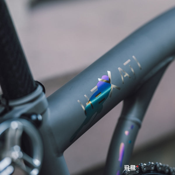 HEXATI T20 ELite Custom Paint – Titanium Gravel Folding Bike--with L-TWOO ER9 wireless groupsets