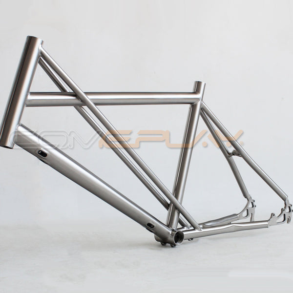 Titanium Tyrell PK1  bike frame